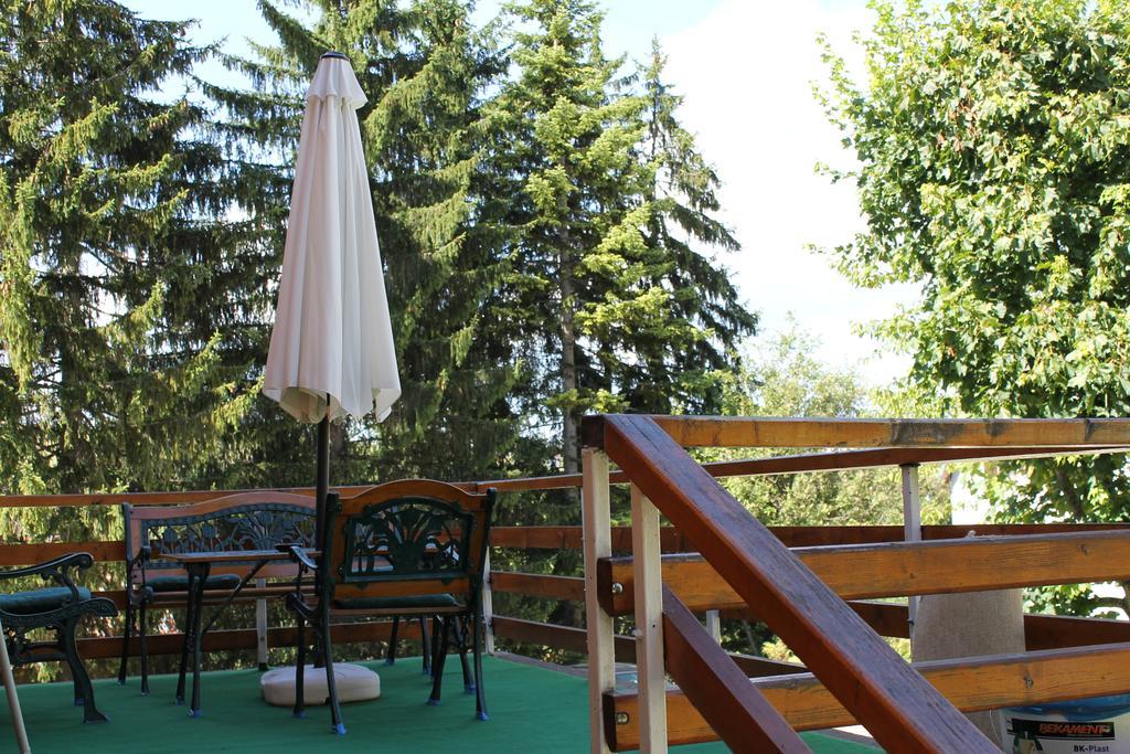 Guest House Milena Zabljak  Bagian luar foto